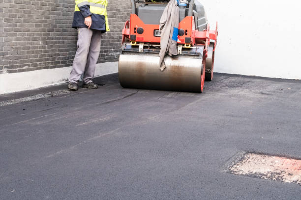 Professional Driveway Paving  in Brookdale, SC